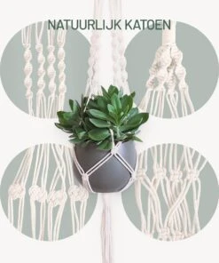 Gadgy Plantenhanger Macramé 3 Stuks - Luxe Gevlochten Touw Katoen - Plantenpot Ophangen - Hangpot -Tuinartikelen Winkel 1000x1200 6