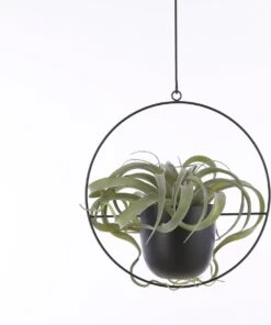 Mica Decorations Dexter Bloempot Hangend - L34 X B14 X H65 Cm - Zwart -Tuinartikelen Winkel 1002x1200 4