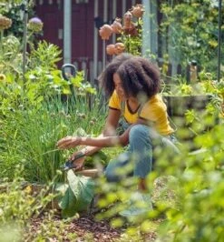 GARDENA - ExpertCut - Snoeischaar - 22 Diameter Tak -Tuinartikelen Winkel 1116x1200 2