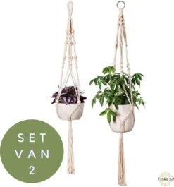 Plantenhanger - Plantenhanger Macrame - Set Van 2 - Wit - Knopen - Luxe Gevlochten Touw - Met Ophang Haken - Fienosa -Tuinartikelen Winkel 1118x1200 4
