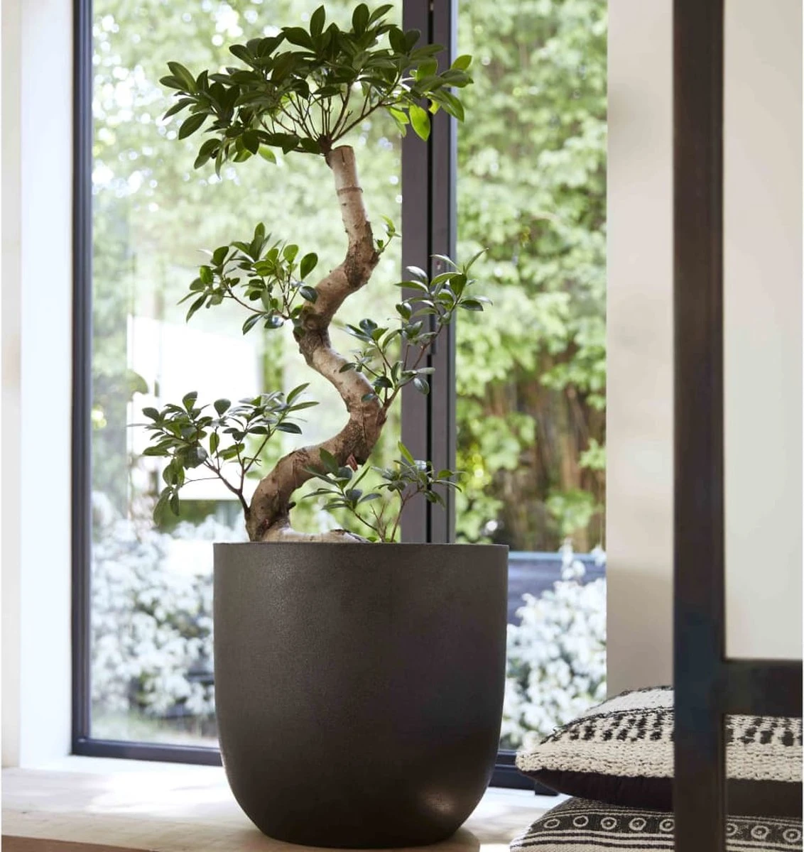 Capi Europe - Bloempot Bol Smooth NL - 43x41 - Zwart - Voor Binnen En Buiten - KBL933 7 Capi Europe - Bloempot Bol Smooth NL - 43x41 - Zwart - Voor Binnen En Buiten - KBL933 - Image 7