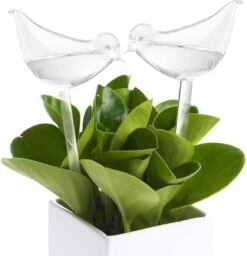 Luxe Planten Waterdruppelaar - Waterbol Vogel - Watergever - Watergeefsysteem Voor Planten & Bloemen - 200ML - Set Van 2 5 Luxe Planten Waterdruppelaar - Waterbol Vogel - Watergever - Watergeefsysteem Voor Planten & Bloemen - 200ML - Set Van 2 -Tuinartikelen Winkel 1160x1200 4