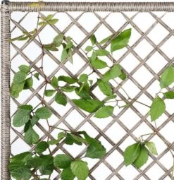 Casaria Polyrattan Bloembak – 3 Bakken Klimophek - Crème -Tuinartikelen Winkel 1163x1200 5