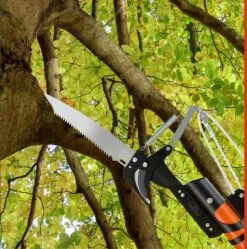 Gardebruk Takkenzaag Telescopisch - 2in1 Zaag & Snoeischaar - Oranje -Tuinartikelen Winkel 1189x1200 3