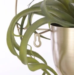 Mica Decorations Dexter Bloempot Wand - L34 X B14 X H34 Cm - Goud 8 Mica Decorations Dexter Bloempot Wand - L34 X B14 X H34 Cm - Goud -Tuinartikelen Winkel 1189x1200 5