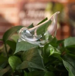 Waterdruppelaar Planten - Vorm Vogel - Set Van 3 Kunststof Druppelaars - 25cm Lengte - Genoeg Water Tijdens Je Vakantie 5 Waterdruppelaar Planten - Vorm Vogel - Set Van 3 Kunststof Druppelaars - 25cm Lengte - Genoeg Water Tijdens Je Vakantie -Tuinartikelen Winkel 1190x1200 9