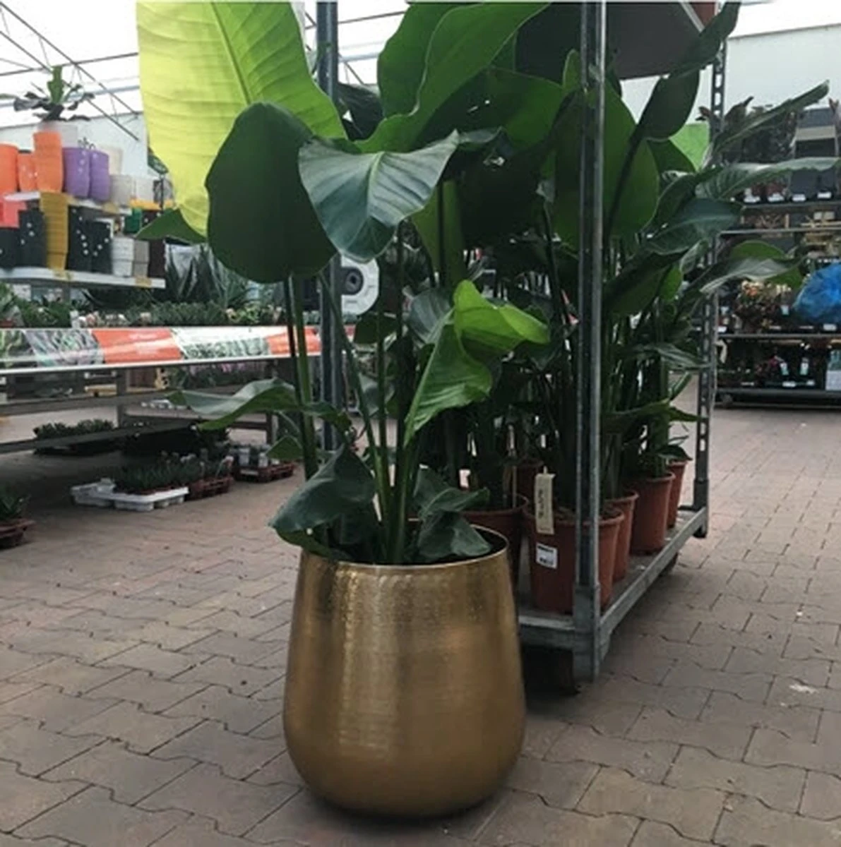 Merkloos Bloempot Karakter Goud - L 4 Merkloos Bloempot Karakter Goud - L - Image 4