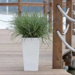 Prosperplast Kunststof Urbi Bloempot/plantenpot Met Binnenpot Wit 32 X 32 X 61 Cm - 21/49 Liter - Hoge Vierkante Bloempotten -Tuinartikelen Winkel 1194x1200 3