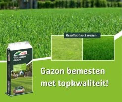 DCM Vital-Green Gazon - Gazonmest - Gazonmeststof Met MINIGRAN® Technology - 75m2 - 3 Kg 5 DCM Vital-Green Gazon - Gazonmest - Gazonmeststof Met MINIGRAN® Technology - 75m2 - 3 Kg -Tuinartikelen Winkel 1200x1000 1