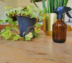 24DOTS Living Plantenspuit | 300 Ml Bruin Amber Glas | Plantensproeier | Plantenspuit Binnen | Waterverstuiver | Vernevelaar -Tuinartikelen Winkel 1200x1051