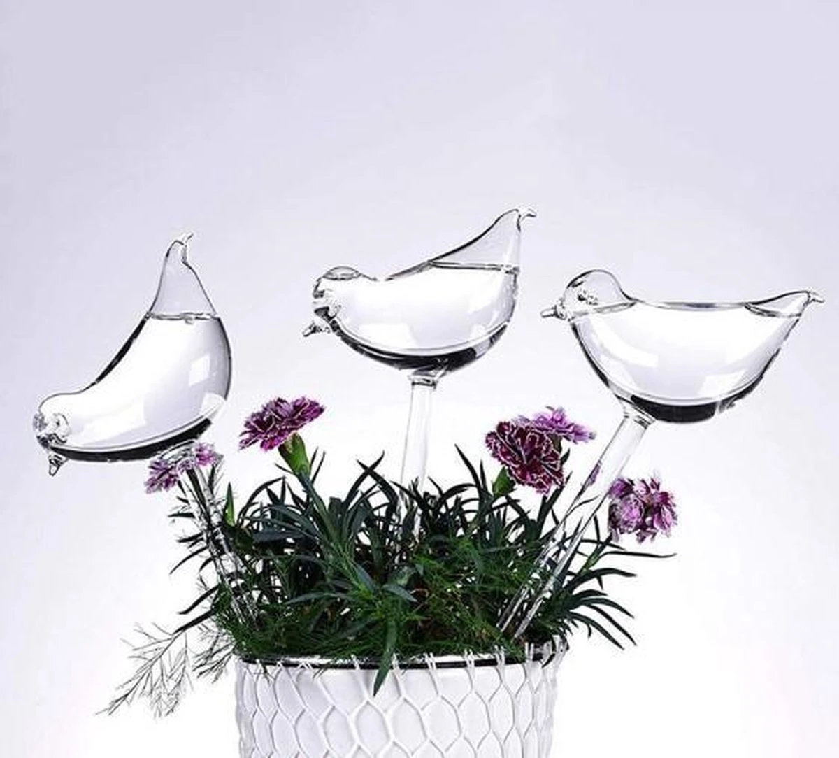 Waterdruppelaar Planten - Vorm Vogel - Set Van 3 Kunststof Druppelaars - 25cm Lengte - Genoeg Water Tijdens Je Vakantie 2 Waterdruppelaar Planten - Vorm Vogel - Set Van 3 Kunststof Druppelaars - 25cm Lengte - Genoeg Water Tijdens Je Vakantie - Image 2