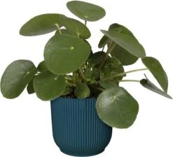 Elho Vibes Fold Rond 22 - Bloempot Voor Binnen - Ø 22.0 X H 20.2 Cm - Diepblauw -Tuinartikelen Winkel 1200x1093 5