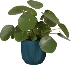 Elho Vibes Fold Rond 22 - Bloempot Voor Binnen - Ø 22.0 X H 20.2 Cm - Diepblauw -Tuinartikelen Winkel 1200x1094 8