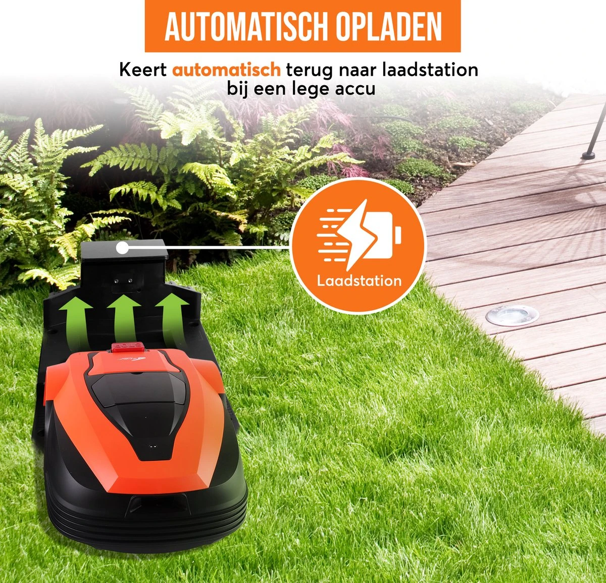 Zoef Robot Robotmaaier Betsie Met APP <1400 M2 13 Zoef Robot Robotmaaier Betsie Met APP <1400 M2 - Image 13