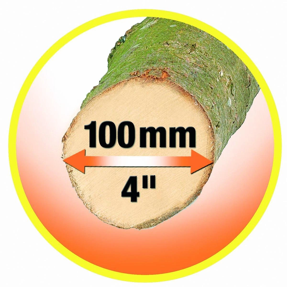 Black & Decker BLACK+DECKER GK1000-QS Alligator Snoeizaag - 550W - 10cm - Gesnoerd 3 Black & Decker BLACK+DECKER GK1000-QS Alligator Snoeizaag - 550W - 10cm - Gesnoerd - Image 3