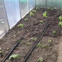 Druppelslang Actiepakket 100 Meter - Leidingshop -Tuinartikelen Winkel 1200x1200 1425