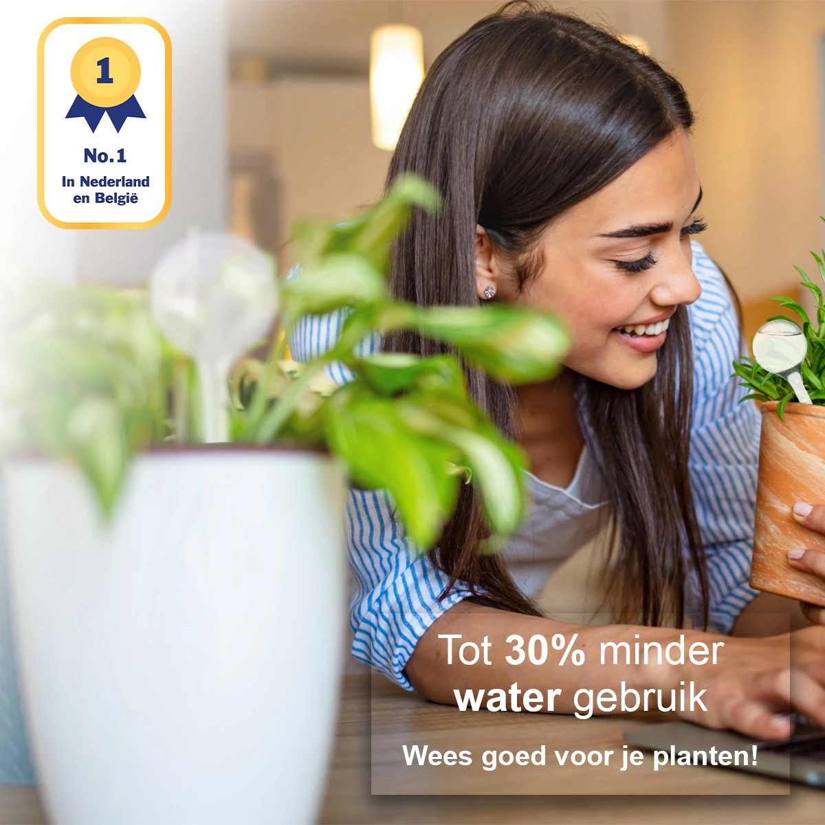 Waterdruppelaar Set Van 12 Stuks - Waterdruppelaar Voor Planten - Watergeefsysteem - Waterbol Irrigatiesysteem - Automatisch Druppelsysteem Voor Kamerplanten & Tuin - Watergever - Transparant - 15cm 2 Waterdruppelaar Set Van 12 Stuks - Waterdruppelaar Voor Planten - Watergeefsysteem - Waterbol Irrigatiesysteem - Automatisch Druppelsysteem Voor Kamerplanten & Tuin - Watergever - Transparant - 15cm - Image 2