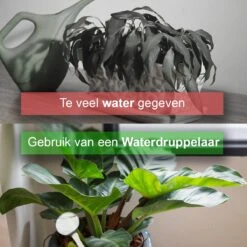 Waterdruppelaar Set Van 12 Stuks - Waterdruppelaar Voor Planten - Watergeefsysteem - Waterbol Irrigatiesysteem - Automatisch Druppelsysteem Voor Kamerplanten & Tuin - Watergever - Transparant - 15cm 13 Waterdruppelaar Set Van 12 Stuks - Waterdruppelaar Voor Planten - Watergeefsysteem - Waterbol Irrigatiesysteem - Automatisch Druppelsysteem Voor Kamerplanten & Tuin - Watergever - Transparant - 15cm -Tuinartikelen Winkel 1200x1200 1471