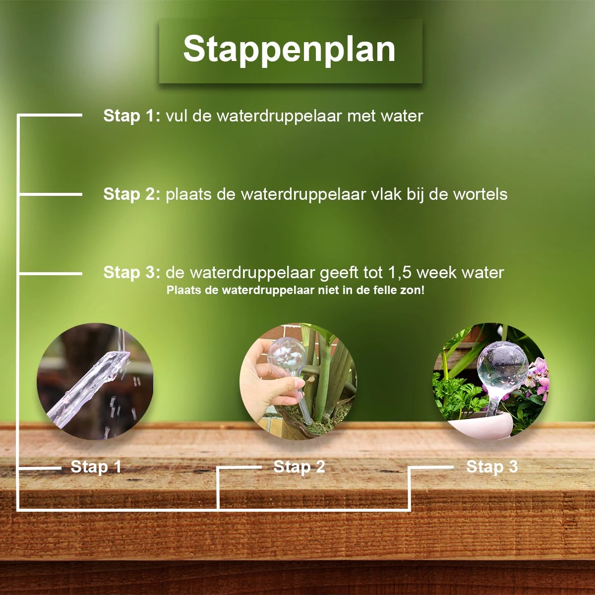 Waterdruppelaar Set Van 12 Stuks - Waterdruppelaar Voor Planten - Watergeefsysteem - Waterbol Irrigatiesysteem - Automatisch Druppelsysteem Voor Kamerplanten & Tuin - Watergever - Transparant - 15cm 7 Waterdruppelaar Set Van 12 Stuks - Waterdruppelaar Voor Planten - Watergeefsysteem - Waterbol Irrigatiesysteem - Automatisch Druppelsysteem Voor Kamerplanten & Tuin - Watergever - Transparant - 15cm - Image 7
