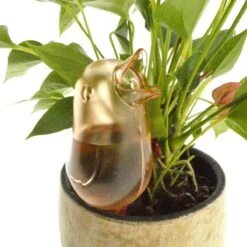 JS Drippy - Waterdruppelaars Set Van 2 Stuks - Druppelaar Vogel - Druppelsysteem Planten - Watergeefsysteem Kamerplanten - Waterbol - Roze 7 JS Drippy - Waterdruppelaars Set Van 2 Stuks - Druppelaar Vogel - Druppelsysteem Planten - Watergeefsysteem Kamerplanten - Waterbol - Roze -Tuinartikelen Winkel 1200x1200 1473