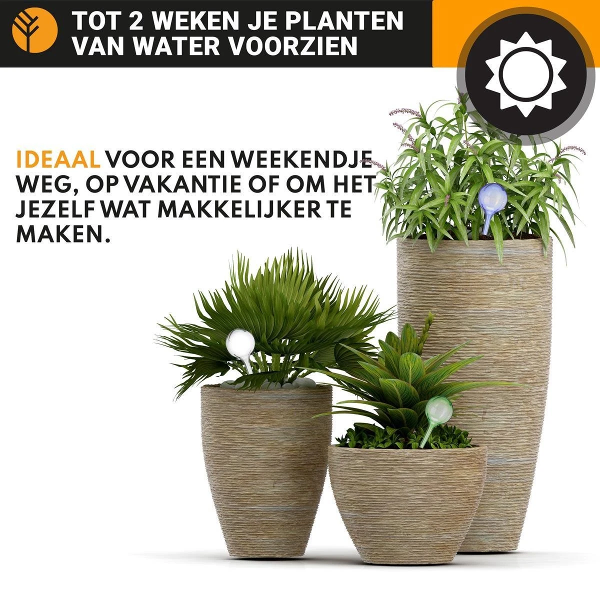 Waterdruppelaar Set Van 6 Stuks Voor Planten Transparant – 27 CM – Automatisch Watergeefsysteem Voor Kamerplanten – Planten Watergever Met Druppelsysteem – Waterbol 3 Waterdruppelaar Set Van 6 Stuks Voor Planten Transparant – 27 CM – Automatisch Watergeefsysteem Voor Kamerplanten – Planten Watergever Met Druppelsysteem – Waterbol - Image 3