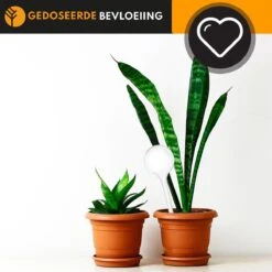 Waterdruppelaar Set Van 6 Stuks Voor Planten Transparant – 27 CM – Automatisch Watergeefsysteem Voor Kamerplanten – Planten Watergever Met Druppelsysteem – Waterbol 8 Waterdruppelaar Set Van 6 Stuks Voor Planten Transparant – 27 CM – Automatisch Watergeefsysteem Voor Kamerplanten – Planten Watergever Met Druppelsysteem – Waterbol -Tuinartikelen Winkel 1200x1200 1476