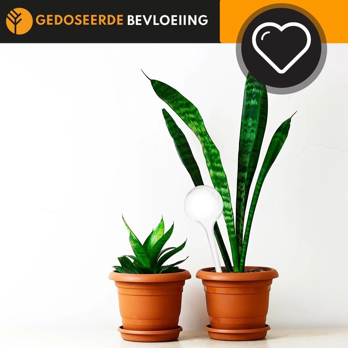 Waterdruppelaar Set Van 6 Stuks Voor Planten Transparant – 27 CM – Automatisch Watergeefsysteem Voor Kamerplanten – Planten Watergever Met Druppelsysteem – Waterbol 4 Waterdruppelaar Set Van 6 Stuks Voor Planten Transparant – 27 CM – Automatisch Watergeefsysteem Voor Kamerplanten – Planten Watergever Met Druppelsysteem – Waterbol - Image 4