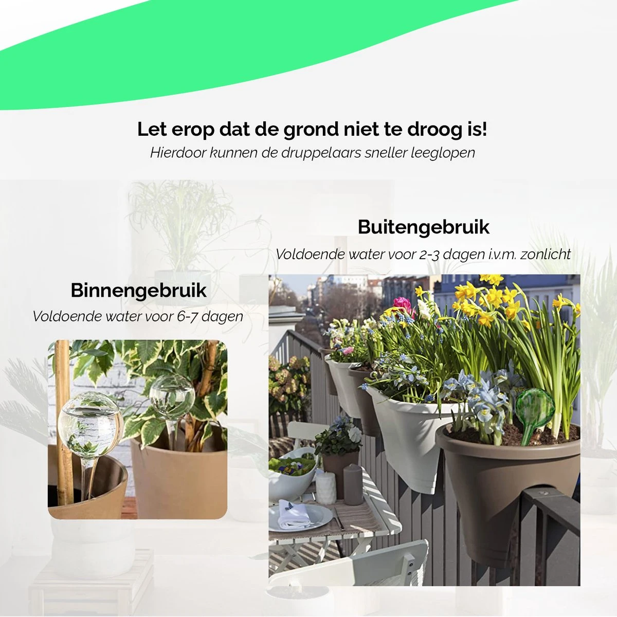 HGMD Waterdruppelaar Set Van 8 Stuks Voor Planten Transparant - Blauw - Waterdruppelaar Voor Kamerplanten – Waterbol - Waterdruppelaar Voor Planten - Watergeefsysteem 5 HGMD Waterdruppelaar Set Van 8 Stuks Voor Planten Transparant - Blauw - Waterdruppelaar Voor Kamerplanten – Waterbol - Waterdruppelaar Voor Planten - Watergeefsysteem - Image 5