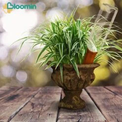 Bloomin Waterdruppelaar Van Terracotta - Waterdruppelaar Voor Planten - Druppelsysteem - Irrigatiesysteem - Watergeefsysteem - Bewateringssysteem - 8 Stuks -Tuinartikelen Winkel 1200x1200 1505