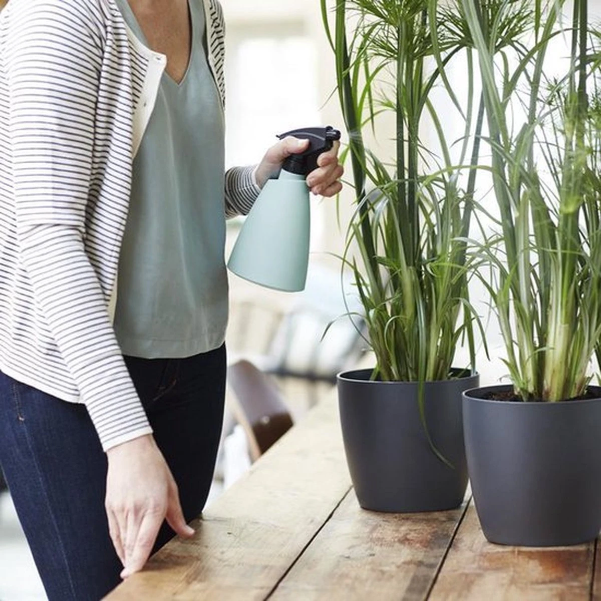 Elho Brussels Sprayer 12 - Plantenspuit Voor Binnen - Ø 11.3 X H 22.3 Cm - Groen/Mint 5 Elho Brussels Sprayer 12 - Plantenspuit Voor Binnen - Ø 11.3 X H 22.3 Cm - Groen/Mint - Image 5
