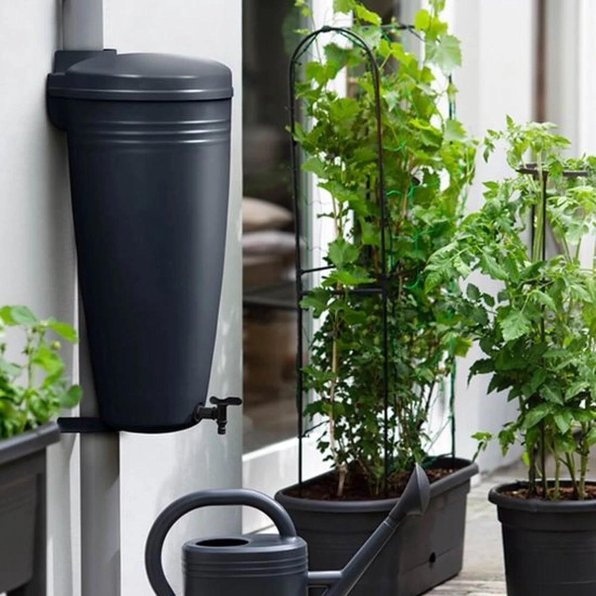 Elho Green Basics Rain Catcher 33 - Regenton Voor Balkonbuiten - Ø 33.5 X H 73.5 Cm - Zwart/Living Black 3 Elho Green Basics Rain Catcher 33 - Regenton Voor Balkonbuiten - Ø 33.5 X H 73.5 Cm - Zwart/Living Black - Image 3