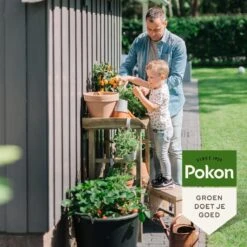 Pokon Bio Moestuin Mest - 1kg - Meststof (biologisch) - 120 Dagen Moestuinvoeding -Tuinartikelen Winkel 1200x1200 1701