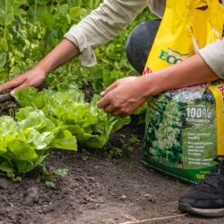 ECOStyle Moestuinmest Voor Eetbare Gewassen - Voor Fruit En Moestuin - Rijk Aan Kalium - 120 Dagen Voeding - 80 M² - 8 KG 9 ECOStyle Moestuinmest Voor Eetbare Gewassen - Voor Fruit En Moestuin - Rijk Aan Kalium - 120 Dagen Voeding - 80 M² - 8 KG -Tuinartikelen Winkel 1200x1200 1714