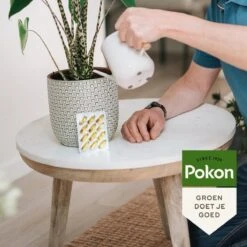 Pokon Bio Kuur Voor Weerbare En Gezonde Kamerplanten - Capsules - 12 Stuks - Geschikt Voor Alle Kamer-, Buitenplanten En Moestuin 7 Pokon Bio Kuur Voor Weerbare En Gezonde Kamerplanten - Capsules - 12 Stuks - Geschikt Voor Alle Kamer-, Buitenplanten En Moestuin -Tuinartikelen Winkel 1200x1200 1717