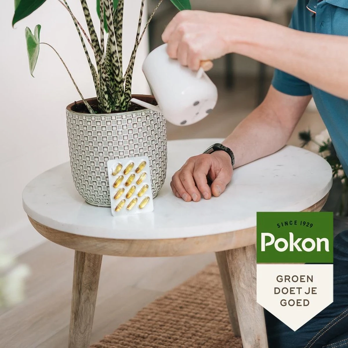 Pokon Bio Kuur Voor Weerbare En Gezonde Kamerplanten - Capsules - 12 Stuks - Geschikt Voor Alle Kamer-, Buitenplanten En Moestuin 4 Pokon Bio Kuur Voor Weerbare En Gezonde Kamerplanten - Capsules - 12 Stuks - Geschikt Voor Alle Kamer-, Buitenplanten En Moestuin - Image 4