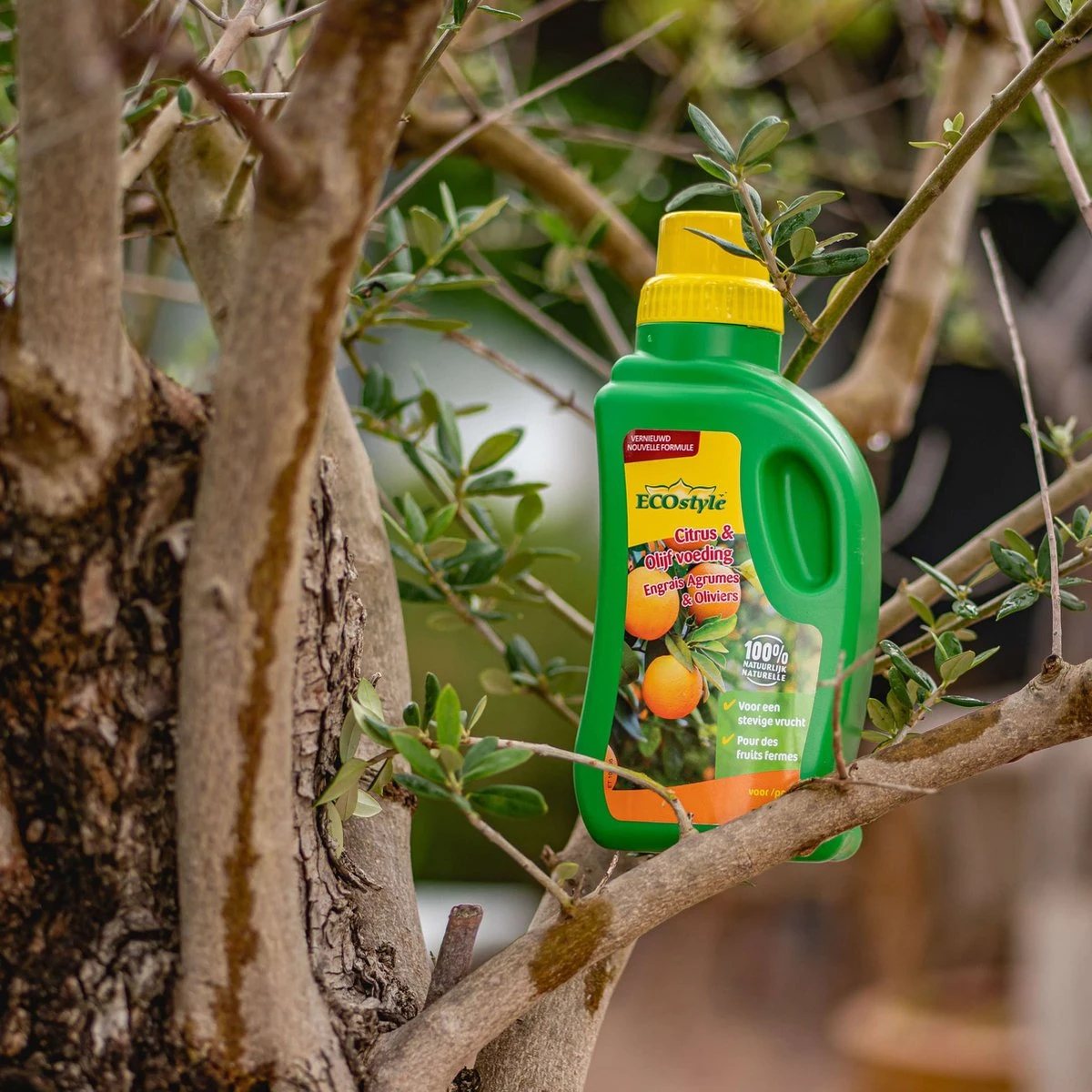 ECOstyle Citrus & Olijf Voeding - Stevige Vrucht - Langdurige Werking - Voor Alle Mediterrane Planten En Bomen 500 ML 2 ECOstyle Citrus & Olijf Voeding - Stevige Vrucht - Langdurige Werking - Voor Alle Mediterrane Planten En Bomen 500 ML - Image 2