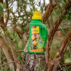 ECOstyle Citrus & Olijf Voeding - Stevige Vrucht - Langdurige Werking - Voor Alle Mediterrane Planten En Bomen 500 ML 6 ECOstyle Citrus & Olijf Voeding - Stevige Vrucht - Langdurige Werking - Voor Alle Mediterrane Planten En Bomen 500 ML -Tuinartikelen Winkel 1200x1200 1739