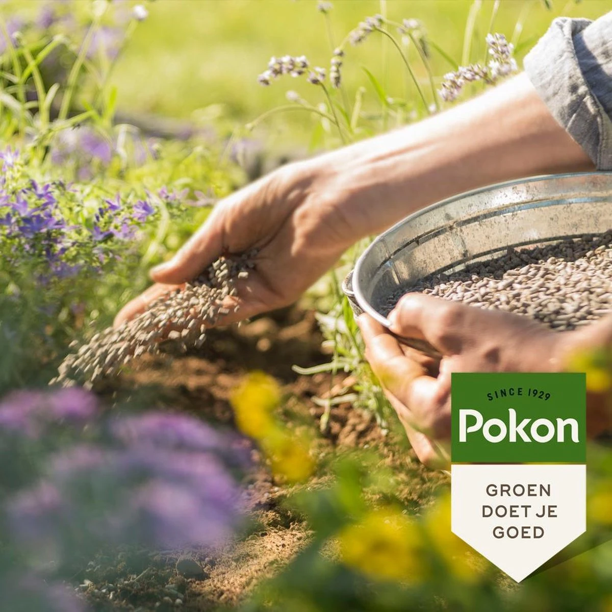 Pokon Tuinmest - 1kg - Meststof - 3-in-1 Werking 4 Pokon Tuinmest - 1kg - Meststof - 3-in-1 Werking - Image 4