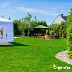 Gazonmest All-In-One (5Kg - Voor 100m2) Voor Een Diepgroen Sterk Gazon Zonder Mos En Onkruid - Complete Meststof Met Kalk En Grasversterker - Organifer 22 Gazonmest All-In-One (5Kg - Voor 100m2) Voor Een Diepgroen Sterk Gazon Zonder Mos En Onkruid - Complete Meststof Met Kalk En Grasversterker - Organifer -Tuinartikelen Winkel 1200x1200 1758