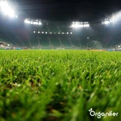 Gazonmest All-In-One (5Kg - Voor 100m2) Voor Een Diepgroen Sterk Gazon Zonder Mos En Onkruid - Complete Meststof Met Kalk En Grasversterker - Organifer 26 Gazonmest All-In-One (5Kg - Voor 100m2) Voor Een Diepgroen Sterk Gazon Zonder Mos En Onkruid - Complete Meststof Met Kalk En Grasversterker - Organifer -Tuinartikelen Winkel 1200x1200 1762