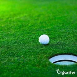 Gazonmest All-In-One (5Kg - Voor 100m2) Voor Een Diepgroen Sterk Gazon Zonder Mos En Onkruid - Complete Meststof Met Kalk En Grasversterker - Organifer 29 Gazonmest All-In-One (5Kg - Voor 100m2) Voor Een Diepgroen Sterk Gazon Zonder Mos En Onkruid - Complete Meststof Met Kalk En Grasversterker - Organifer -Tuinartikelen Winkel 1200x1200 1765