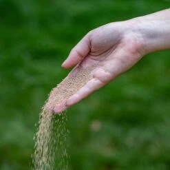 ECOstyle AZ Kalk Micro Korrel – Voor Gazon, Sier- En Moestuin - Corrigeert Zuurgraad Direct En Langdurig - Werkt Tegen Mos - CO2-Neutraal – 30 M² - 2 KG -Tuinartikelen Winkel 1200x1200 1771