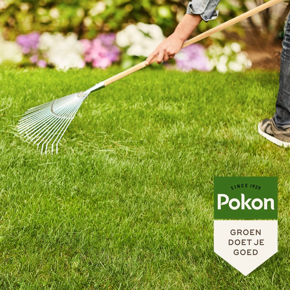 Pokon Gazonmest Met Kalk - 2 X 5kg - Mest - Geschikt Voor 2 X 75m² - 120 Dagen Voeding - Voordeelverpakking 3 Pokon Gazonmest Met Kalk - 2 X 5kg - Mest - Geschikt Voor 2 X 75m² - 120 Dagen Voeding - Voordeelverpakking - Image 3