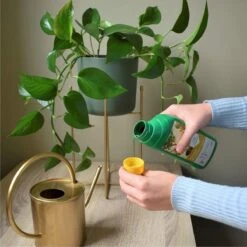 Pokon Kamerplanten Voeding - 500ml - Plantenvoeding - 20ml Per 1L Water -Tuinartikelen Winkel 1200x1200 1780