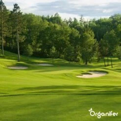 Kalk Korrel Meststof Verrijkt Met Magnesium (20Kg - Voor 400m2) Voor Dieper Bladgroen (+PH) Speciaal Voor Gazon, Perken, Moestuin En Openbaar Groen - Organifer 24 Kalk Korrel Meststof Verrijkt Met Magnesium (20Kg - Voor 400m2) Voor Dieper Bladgroen (+PH) Speciaal Voor Gazon, Perken, Moestuin En Openbaar Groen - Organifer -Tuinartikelen Winkel 1200x1200 1786