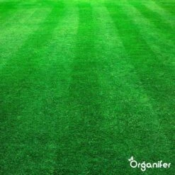 Kalk Korrel Meststof Verrijkt Met Magnesium (20Kg - Voor 400m2) Voor Dieper Bladgroen (+PH) Speciaal Voor Gazon, Perken, Moestuin En Openbaar Groen - Organifer 32 Kalk Korrel Meststof Verrijkt Met Magnesium (20Kg - Voor 400m2) Voor Dieper Bladgroen (+PH) Speciaal Voor Gazon, Perken, Moestuin En Openbaar Groen - Organifer -Tuinartikelen Winkel 1200x1200 1793