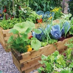 Kalk Korrel Meststof Verrijkt Met Magnesium (20Kg - Voor 400m2) Voor Dieper Bladgroen (+PH) Speciaal Voor Gazon, Perken, Moestuin En Openbaar Groen - Organifer 34 Kalk Korrel Meststof Verrijkt Met Magnesium (20Kg - Voor 400m2) Voor Dieper Bladgroen (+PH) Speciaal Voor Gazon, Perken, Moestuin En Openbaar Groen - Organifer -Tuinartikelen Winkel 1200x1200 1795