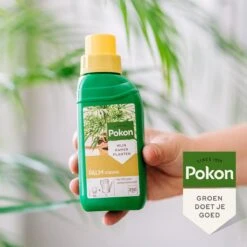 Pokon Palm Voeding - 250ml - Plantenvoeding - 10ml Per 1L Water -Tuinartikelen Winkel 1200x1200 1798