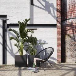 Capi Europe - Bloempot Vierkant Smooth NL - 50x50x50 - Zwart - Voor Binnen En Buiten - KBL904 -Tuinartikelen Winkel 1200x1200 1852