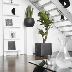 Capi Europe - Bloempot Vierkant Smooth NL - 50x50x50 - Zwart - Voor Binnen En Buiten - KBL904 -Tuinartikelen Winkel 1200x1200 1859